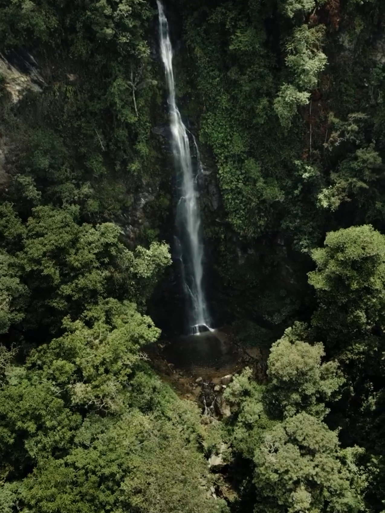 5B7C79C8-0692-4B99-BAB9-5155123A7951